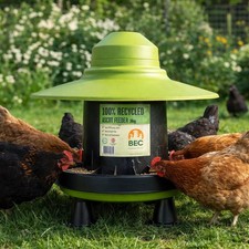 Outdoor recycled poultry - outdoor,