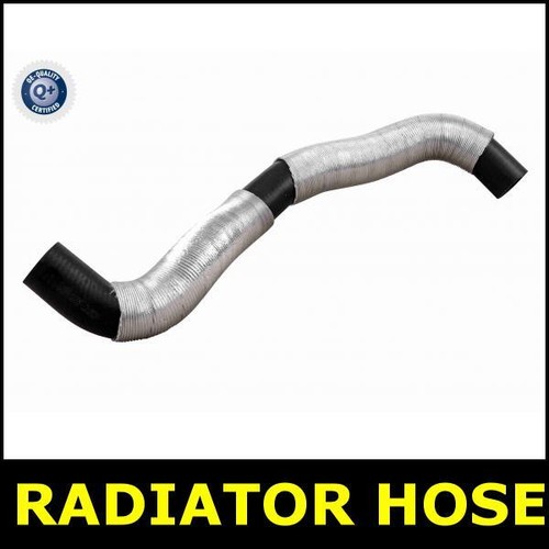 Radiator hose lower - lower, for