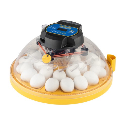 Brinsea maxi incubator - maxi,