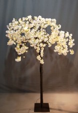 Lighted cherry blossom - lighted,