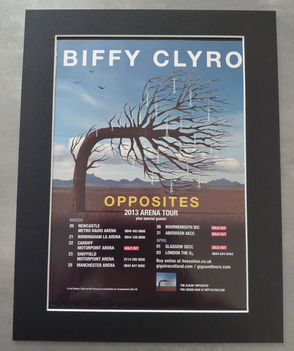 Biffy clyro 2013 - clyro, promo
