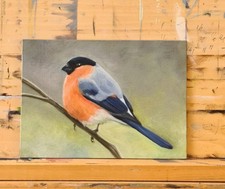 Original Oil Painting Wildlife Male Bullfinch 18  X 13 cm