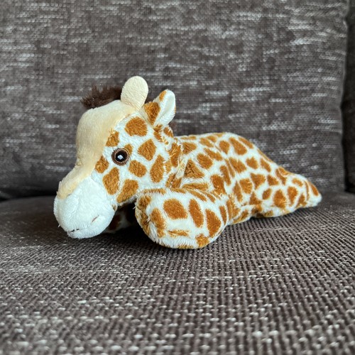 Nature planet pets - re-pets, toy