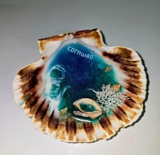 Handmade Resin Seashell Decor