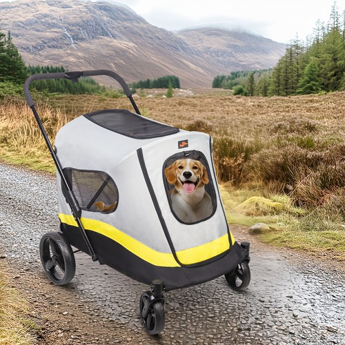 Pet animal travel - animal, stroller