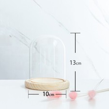 Glass Display Dome Bell Jar