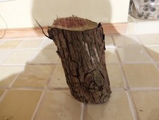 English Yew Log Timber For