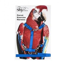 Adventure Bound Parrot