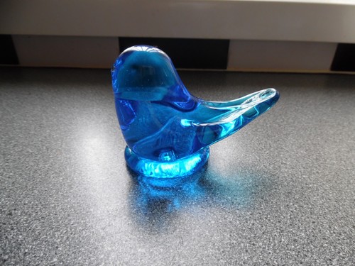 Leoward little blue bird - little,