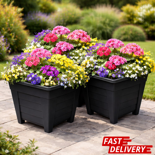 27cm square plant - plant, planter