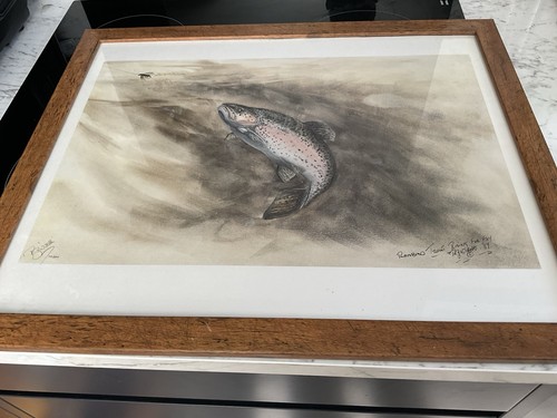 Trout rising for fly - trout,