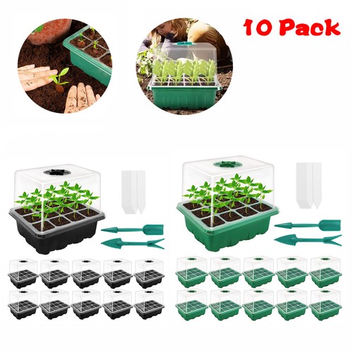 Pack seed trays starter kit - pack,