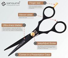 Professional Hair Scissors