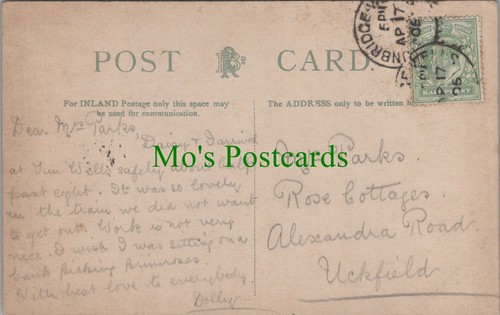 Genealogy postcard parks - genealogy,