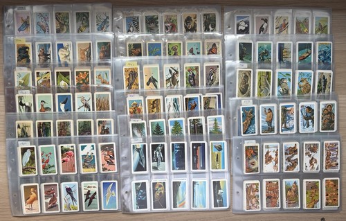 All complete sets brooke - 17,