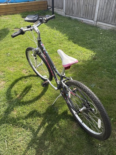 Trek mt220 mountain bike - trek,