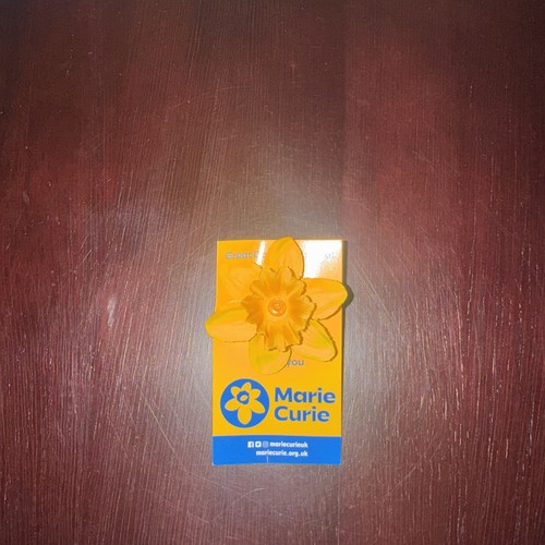 Marie curie daffodil lapel pin - marie,
