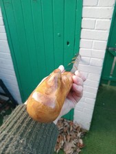 IRISH BLACKTHORN WALKING STICK