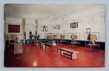 Museum gallery with display