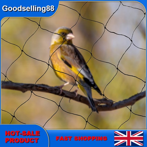 Size 100 net - 50', x
