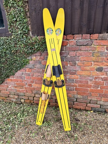 Vintage gemini water skis - water,