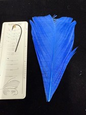 Dyed Turkey Center tail