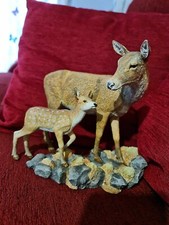 Country Artists  - The Natural