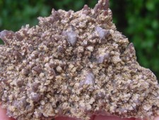 Rare Location DOLOMITE on