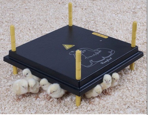 25cm brooder hen - 25,