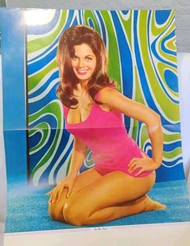 Vintage 1968s raquel welch - vintage,