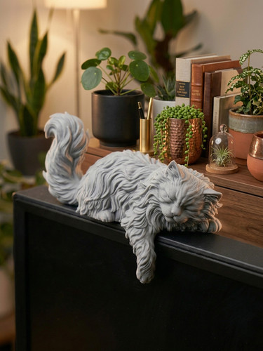 Sleeping cat monitor - cat,