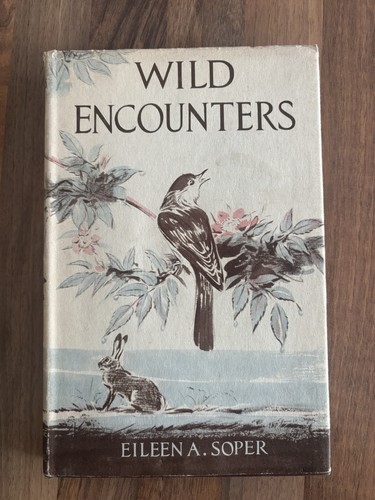 Eileen soper wild encounters - wild,