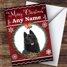 Schipperke Dog Traditional