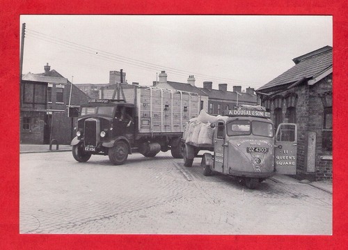 Postcard uta leyland - leyland, beaver
