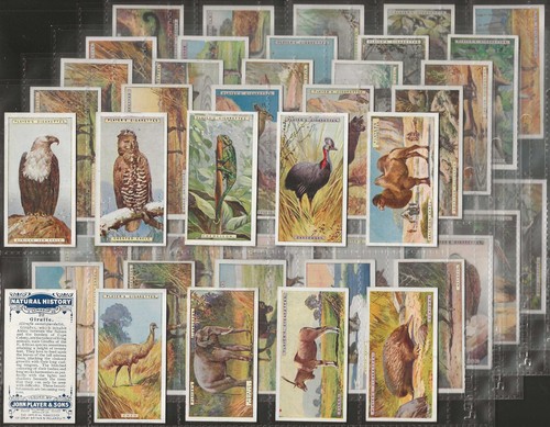 Players full set natural - players-full, set-