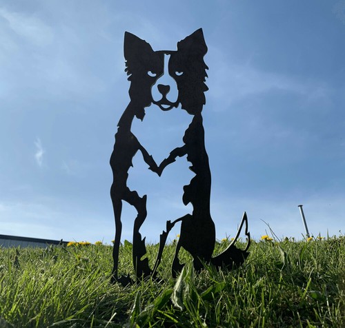 Border collie sheepdog metal - sheepdog,