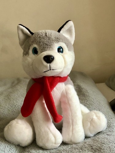Adorable husky dog soft - husky,