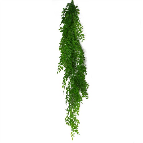 Hanging string pearls - string, of