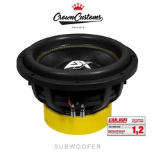 2000W MAX 12 INCH SUBWOOFER