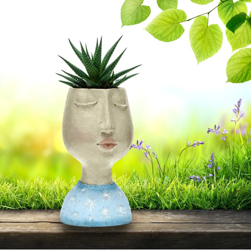 Face head planter for indoor - planter,