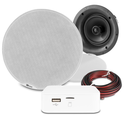 Ceiling speaker system with - speaker,