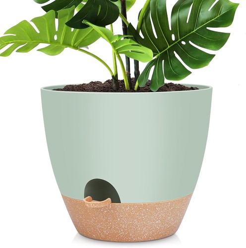 Inch self watering plant - 12,