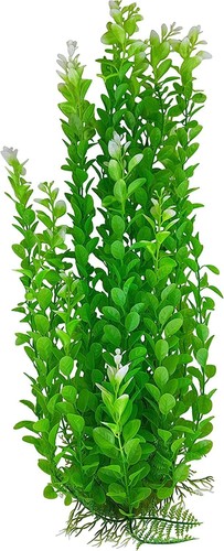Aquariumh2o green bushy - aquariumh2o,