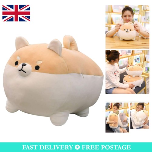 Adorable shiba inu - shiba, plush
