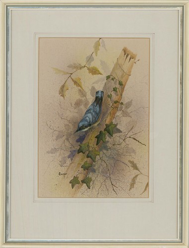 Eileen cooper contemporary - cooper,