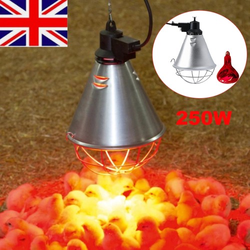 New 250w infrared heat - ,