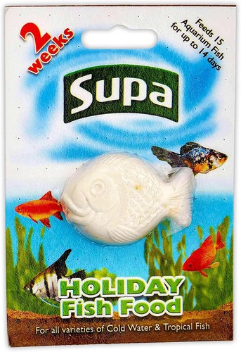 Supa vacation holiday fish - holiday,