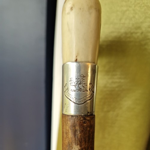 Antique walking stick silver - stick,