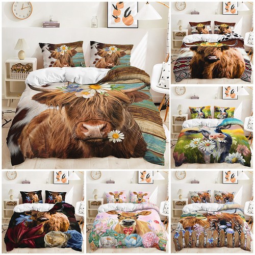 Animals cow scottish highland - cow,
