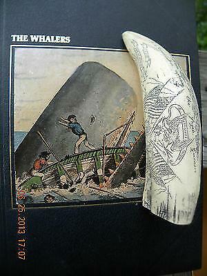 Scrimshaw whale tooth - scrimshaw,